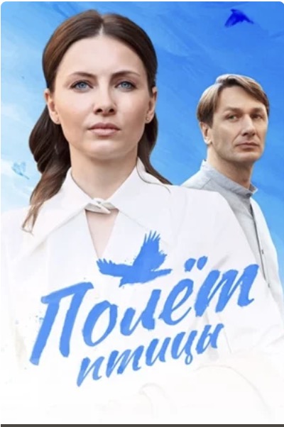 Полёт птицы